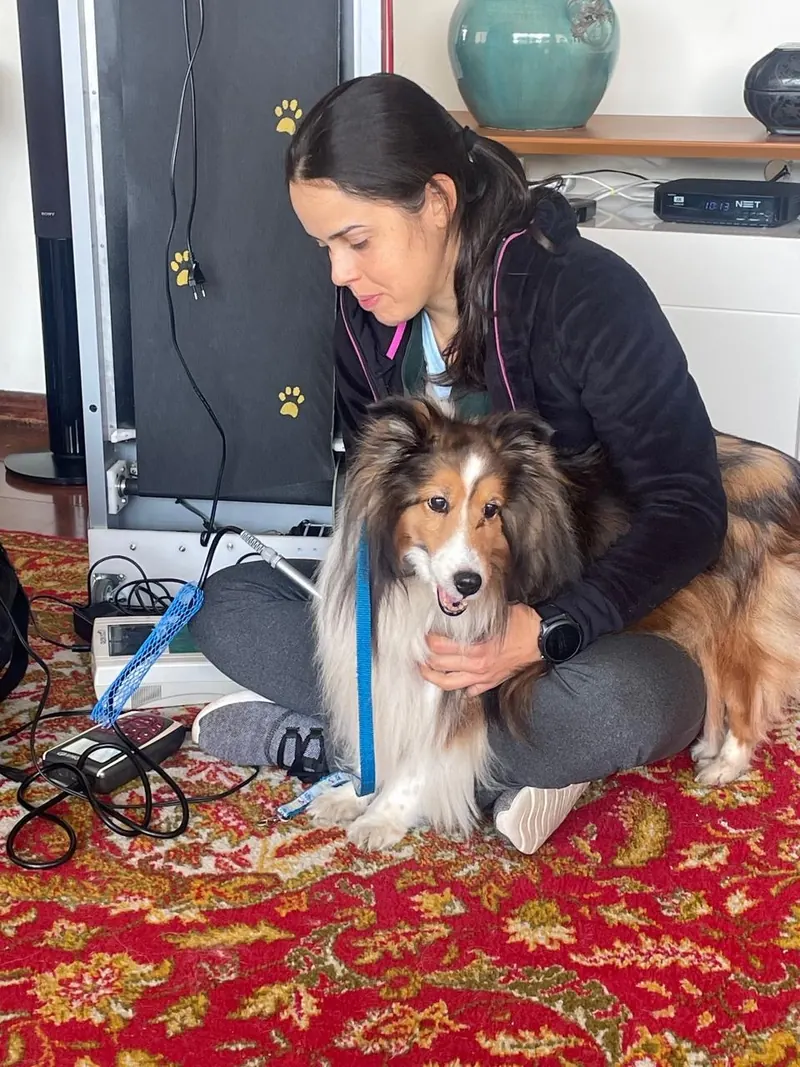 Joyce atendendo um pastor de shetland em casa