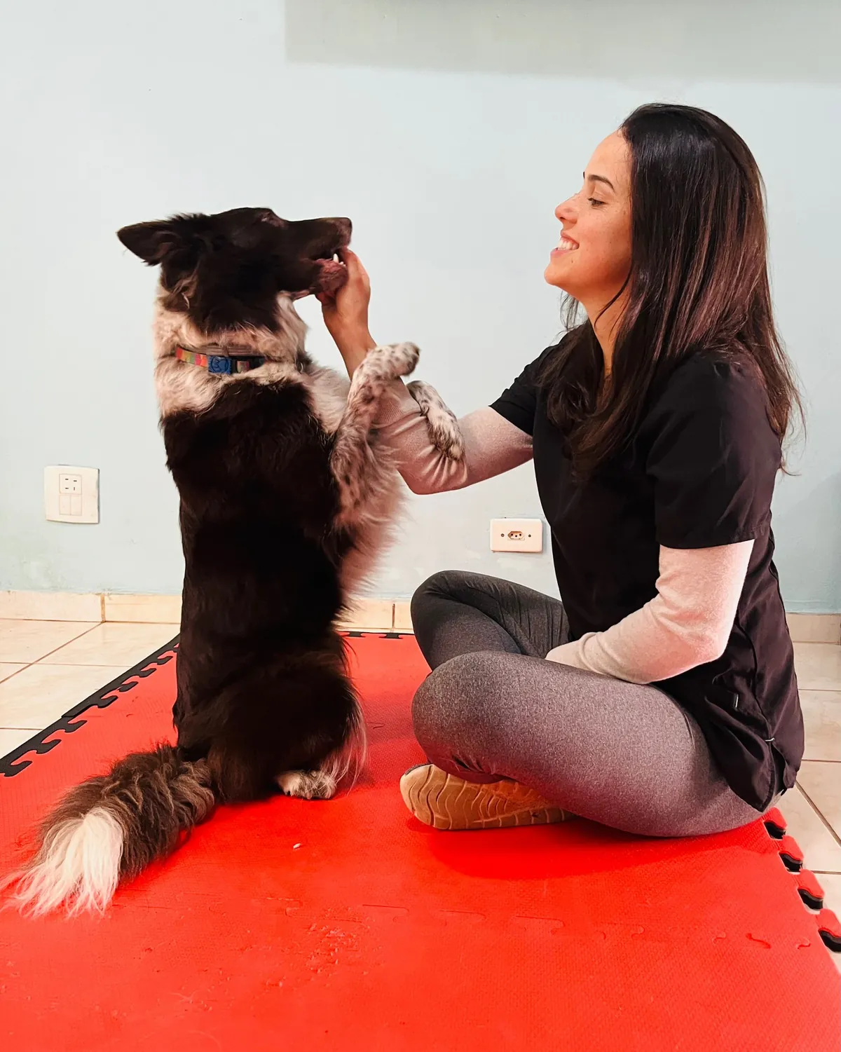 Joyce, fisioterapeuta da Movet, em exercício de equilíbrio com um border collie